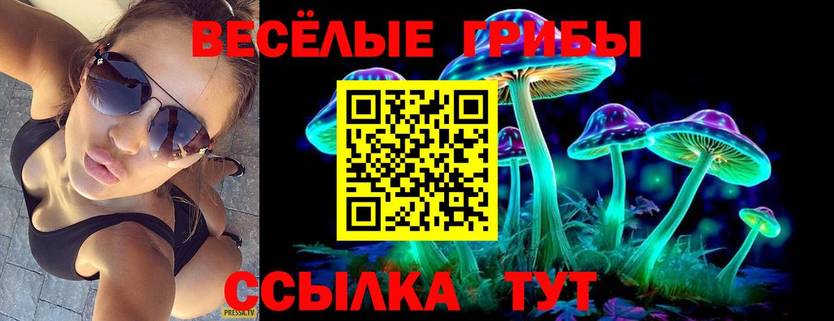 Волжский  Галлюциногенные грибы Psilocybe  даркнет сайт  Вход с VPN 
